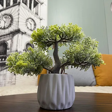 Center - Your Cosy Corner Тирана