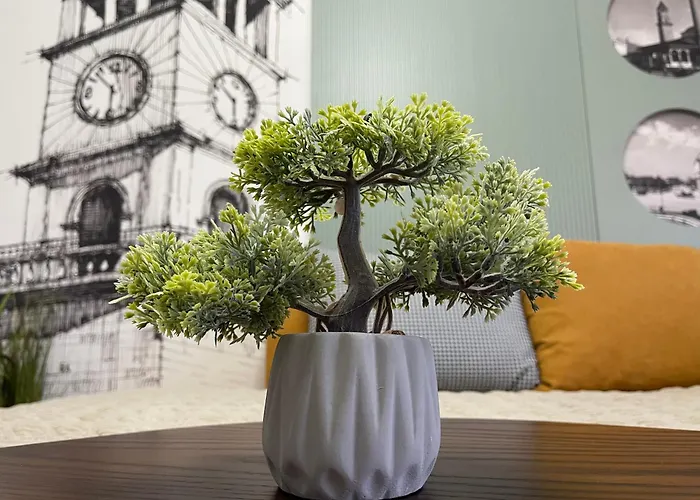 Center - Your Cosy Corner Tirana